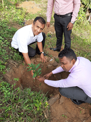 2020 - World Environment Day